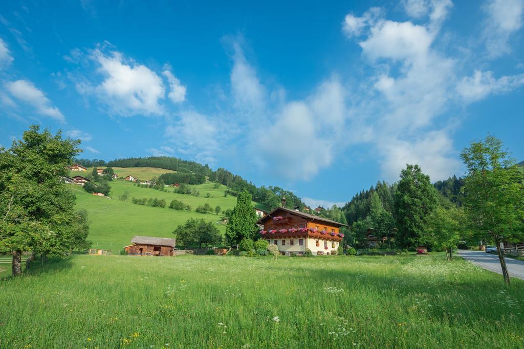 Apartament Bauernhof Auhof Wagrain Zewnętrze zdjęcie