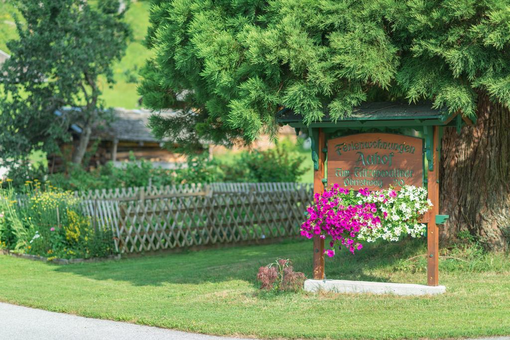 Apartament Bauernhof Auhof Wagrain Zewnętrze zdjęcie